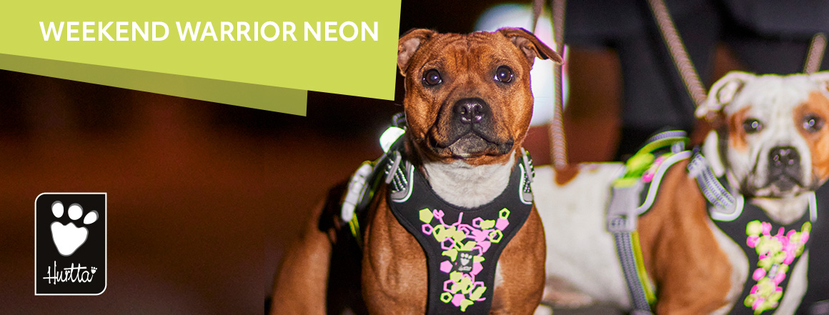 Postroj Hurtta Weekend Warrior Neon